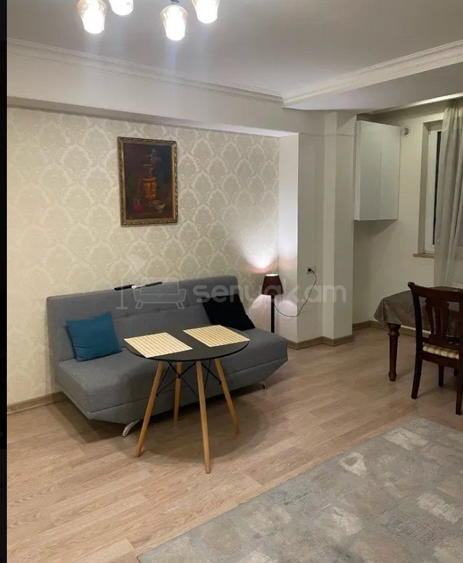 2 Սենյականոց Բնակարան, 45քմ, 4/9 հարկ, Կապիտալ Վերանորոգված, Կահավորված