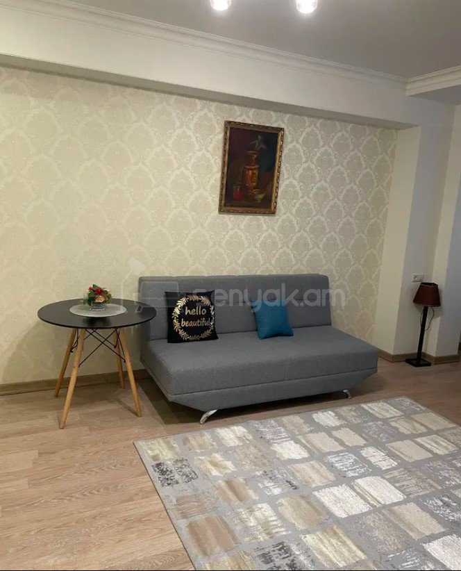 2 Սենյականոց Բնակարան, 45քմ, 4/9 հարկ, Կապիտալ Վերանորոգված, Կահավորված