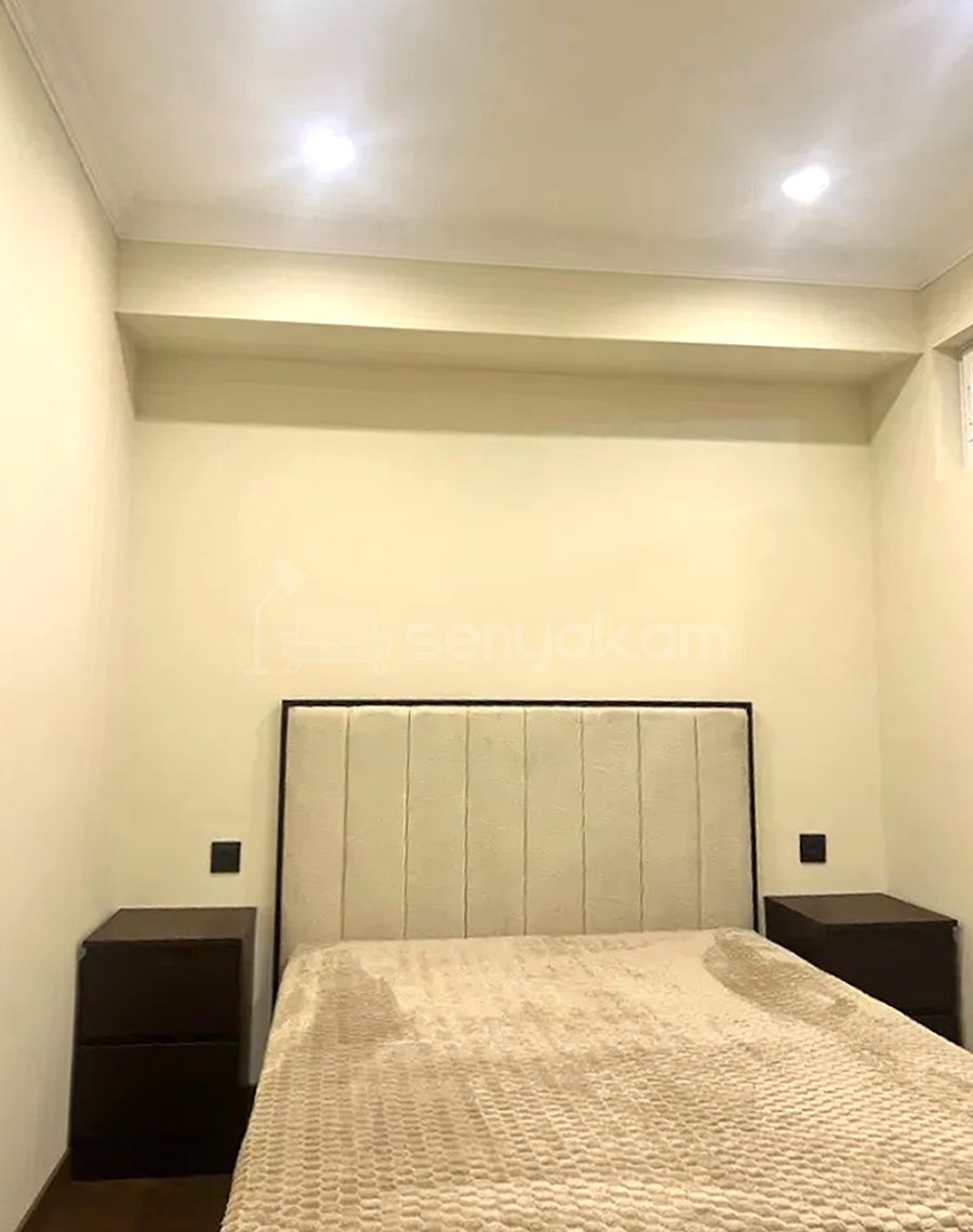 2 Սենյականոց Բնակարան, 44քմ, 3/9 հարկ, Դիզայներական Վերանորոգված