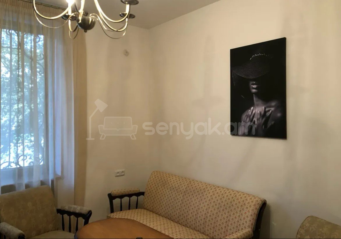 2 Սենյականոց Բնակարան Քարե Շենքում, 40քմ, 2/4 հարկ, Կապիտալ Վերանորոգված, Կահավորված