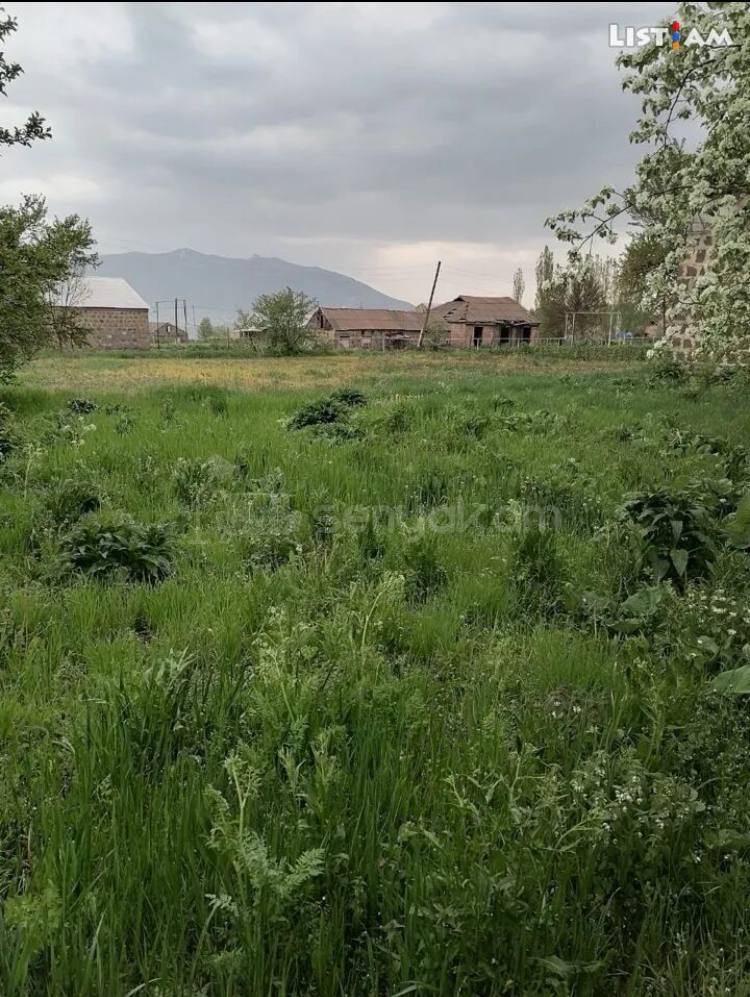 Հողամաս, 2400քմ, Էլեկտրականությամբ