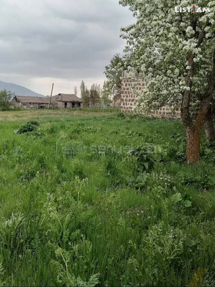 Հողամաս, 2400քմ, Էլեկտրականությամբ