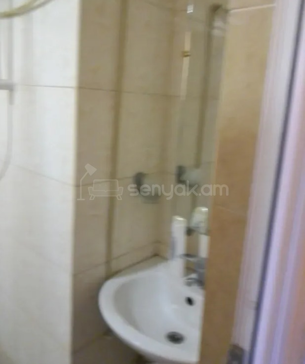 1 Սենյականոց Բնակարան Քարե Շենքում, 22քմ, 4/5 հարկ, Կապիտալ Վերանորոգված