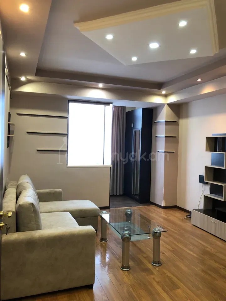 2 Սենյականոց Բնակարան, 46քմ, 4/9 հարկ, Դիզայներական Վերանորոգված, Կահավորված