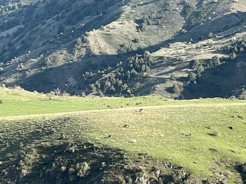 7 Սենյականոց Բնակարան Քարե Շենքում, 297քմ, 1/2 հարկ, Կոսմետիկ Վերանորոգված