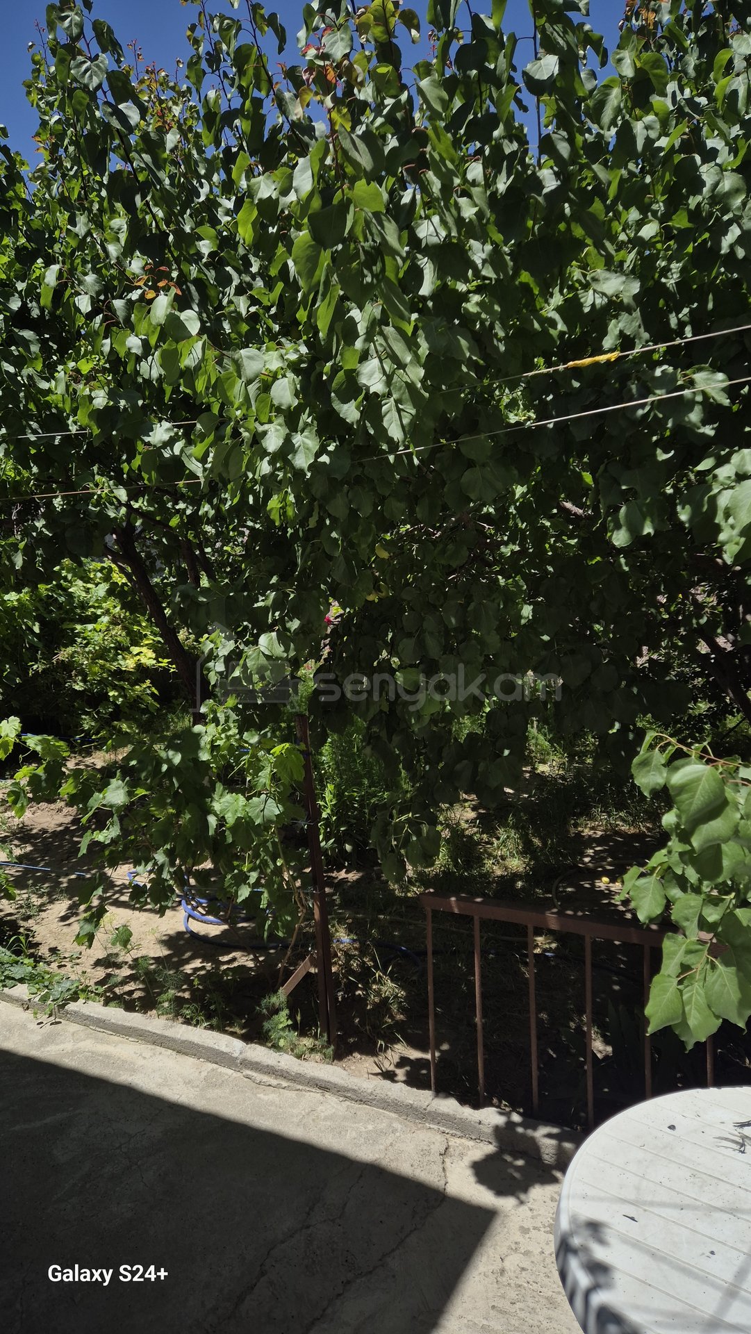 6 Սենյականոց Սեփական Տուն, 240քմ