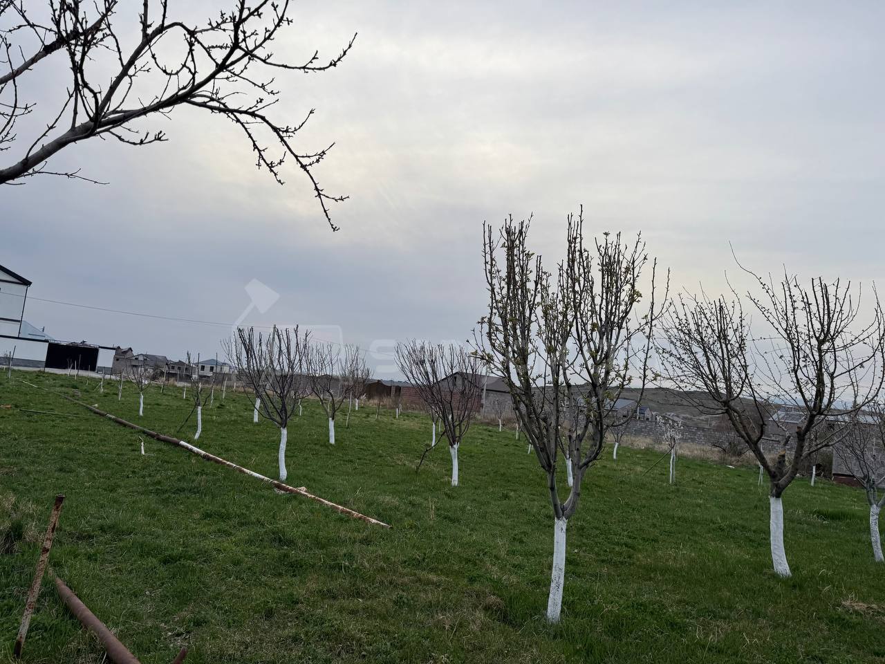 Հողատարածք, 1450քմ, Էլեկտրականությամբ