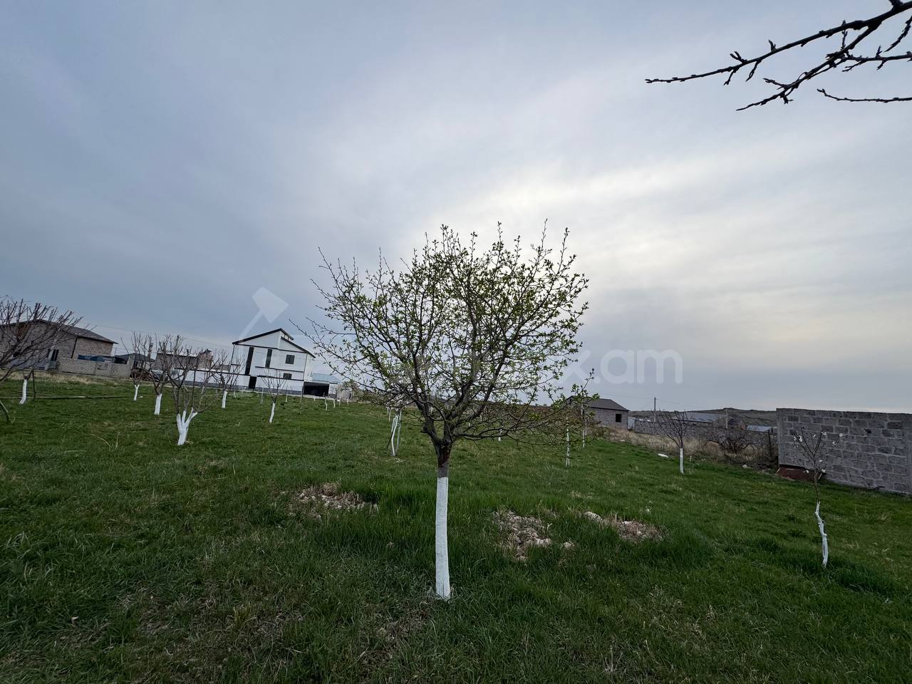 Հողատարածք, 1450քմ, Էլեկտրականությամբ