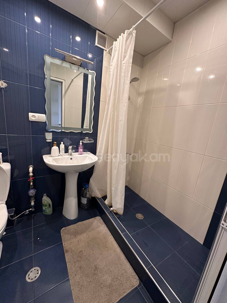 3 Սենյականոց Բնակարան, 100քմ, 9/11 հարկ, Կապիտալ Վերանորոգված, Կահավորված