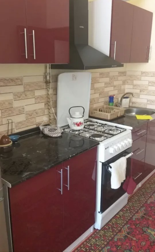 1 Սենյականոց Բնակարան Քարե Շենքում, 42քմ, 2/4 հարկ, Կապիտալ Վերանորոգված, Կահավորված, Արևկող