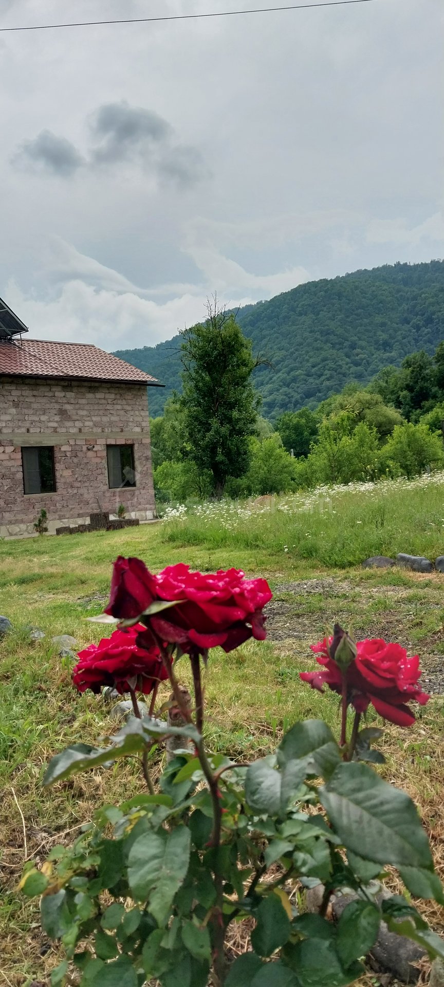 3 Սենյականոց Սեփական Տուն, 50քմ, Կապիտալ Վերանորոգված