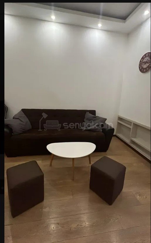 2 Սենյականոց Բնակարան Քարե Շենքում, 40քմ, 2/4 հարկ, Կապիտալ Վերանորոգված, Կահավորված
