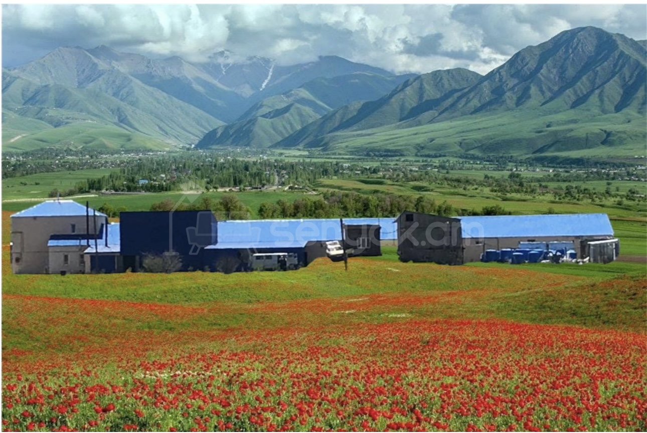 Արտադրամաս, 20000քմ, Կապիտալ Վերանորոգված