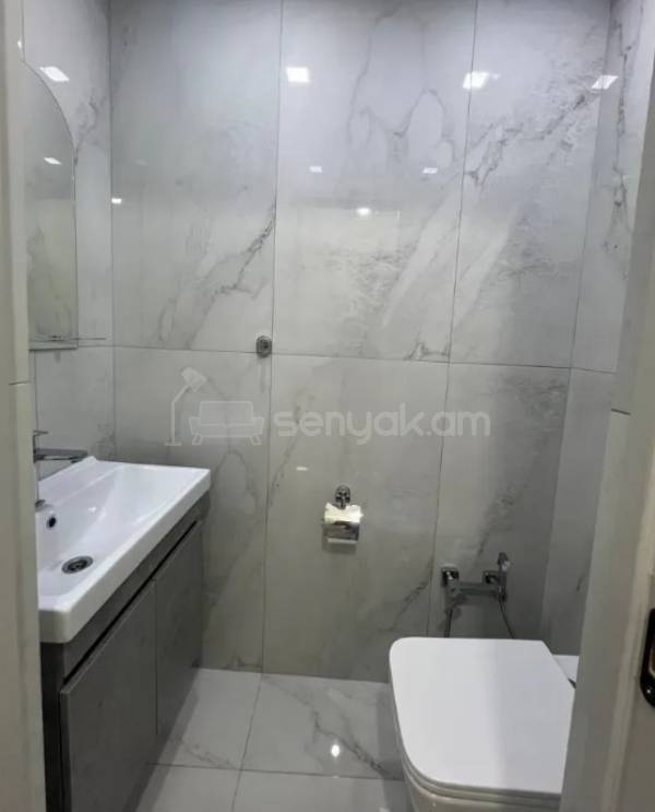 3 Սենյականոց Բնակարան, 73քմ, 6/9 հարկ, Կապիտալ Վերանորոգված, Կահավորված, Արևկող