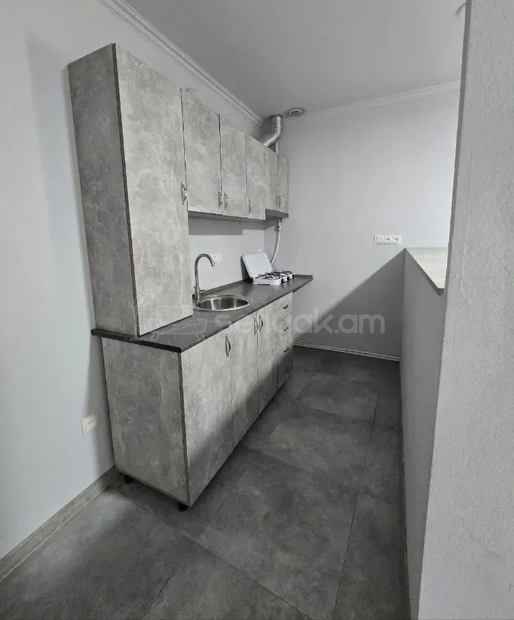2 Սենյականոց Բնակարան Քարե Շենքում, 48քմ, 1/1 հարկ, Կապիտալ Վերանորոգված, Արևկող