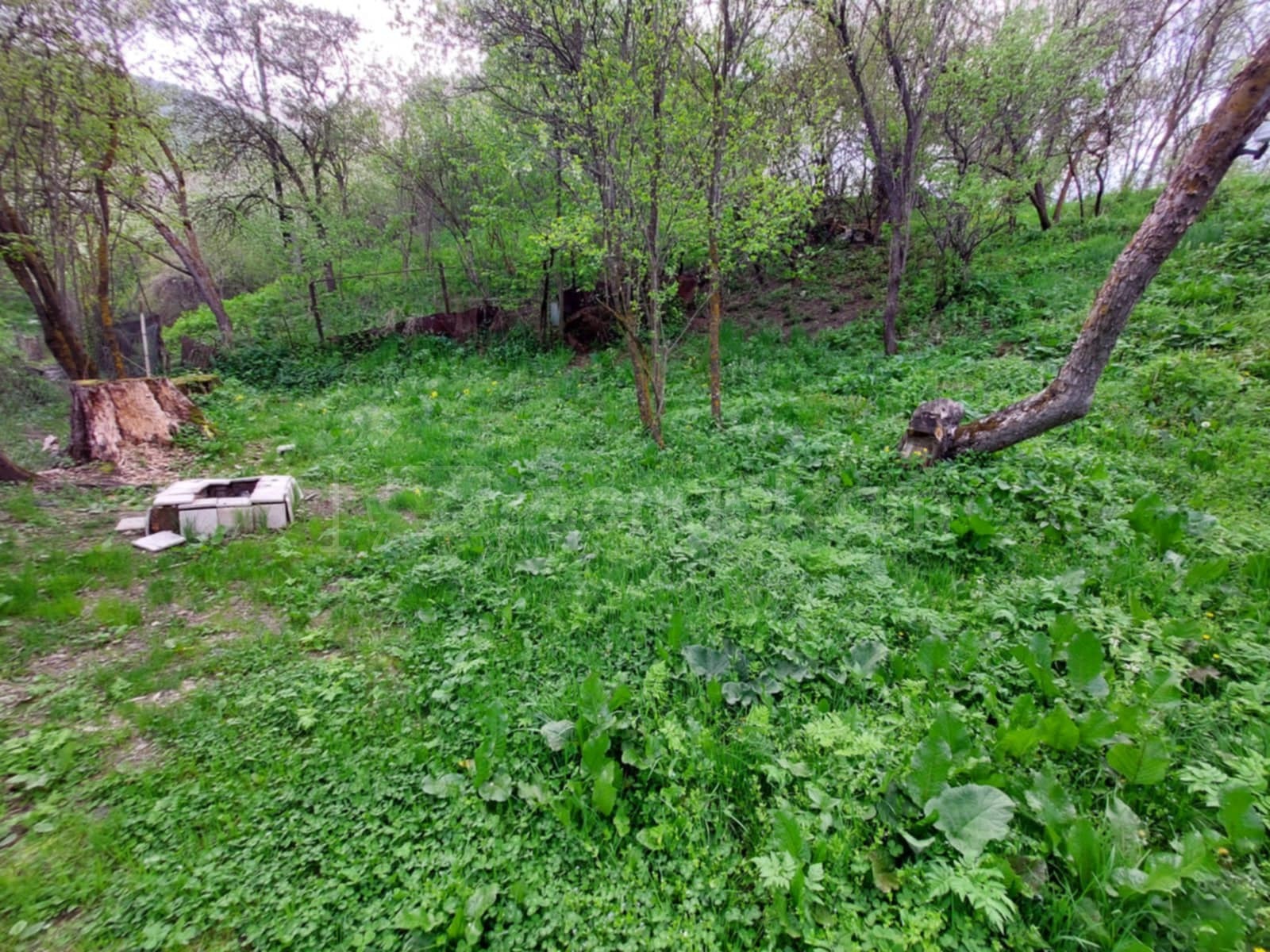 3 Սենյականոց Բնակարան Քարե Շենքում, 70քմ, 1/2 հարկ, Կապիտալ Վերանորոգված