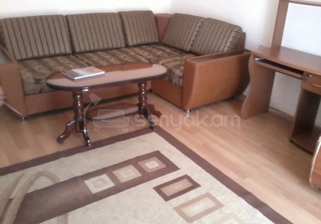 1 Սենյականոց Բնակարան Քարե Շենքում, 42քմ, 3/5 հարկ, Կապիտալ Վերանորոգված, Կահավորված