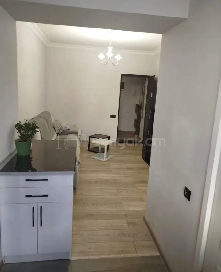 2 Սենյականոց Բնակարան Քարե Շենքում, 45քմ, 5/5 հարկ, Դիզայներական Վերանորոգված