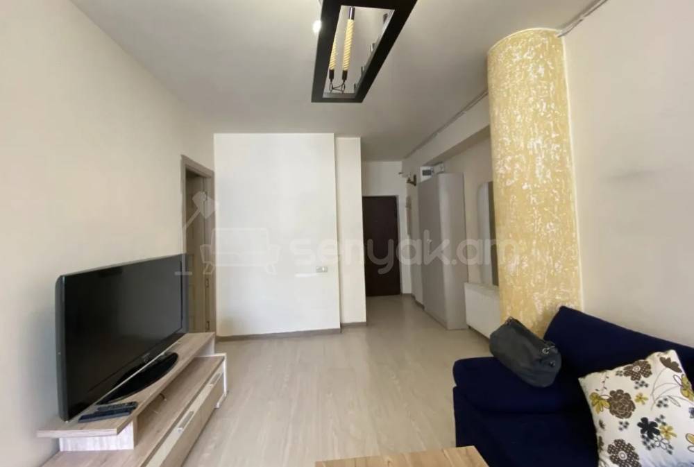 2 Սենյականոց Բնակարան, 46քմ, 2/9 հարկ, Կոսմետիկ Վերանորոգված
