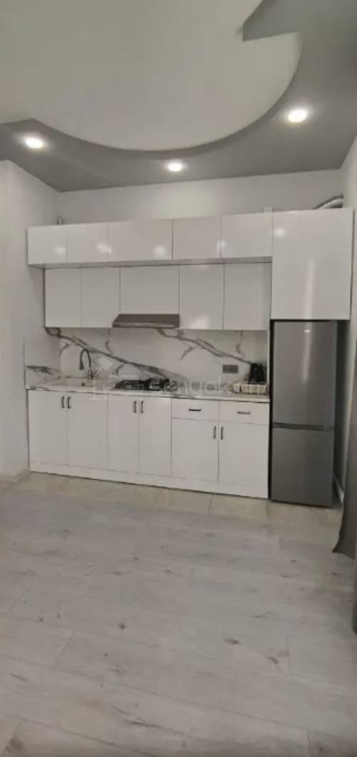 2 Սենյականոց Բնակարան Քարե Շենքում, 45քմ, 4/5 հարկ, Կապիտալ Վերանորոգված, Կահավորված, Արևկող