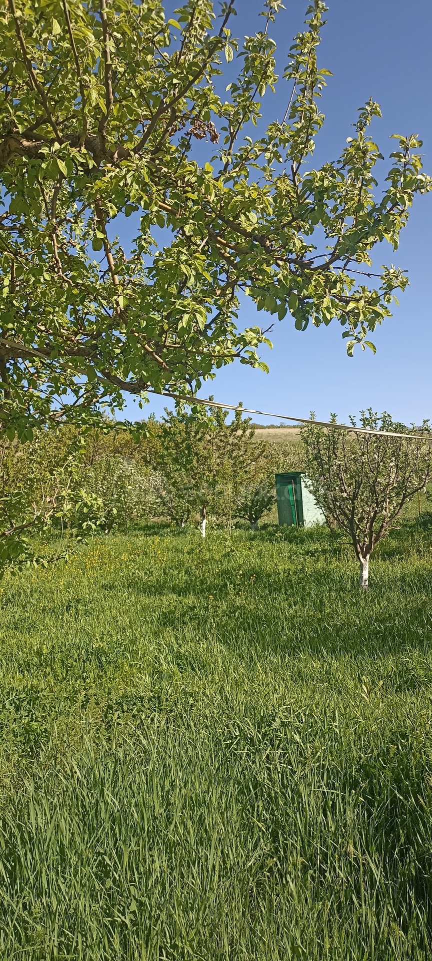 3 Սենյականոց Սեփական Տուն, 64քմ, Նորմալ Վիճակում, Ավտոտնակով