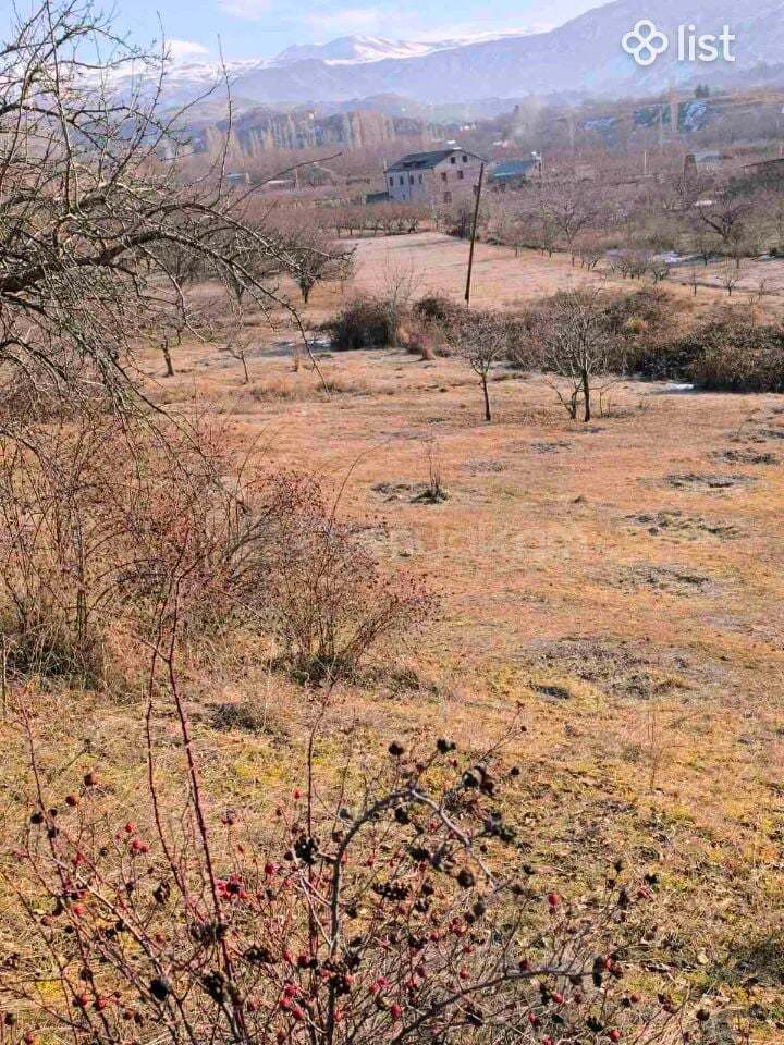 Այգի, 2370քմ, Ոռոգման Ջրով