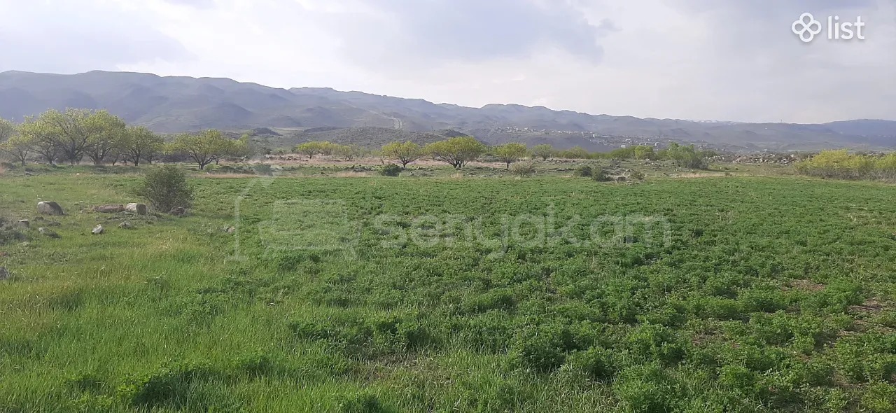 Այգի, 1600քմ, Ոռոգման Ջրով