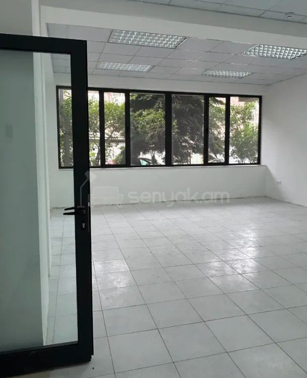 Օֆիսային Տարածք, 243քմ, Կապիտալ Վերանորոգված