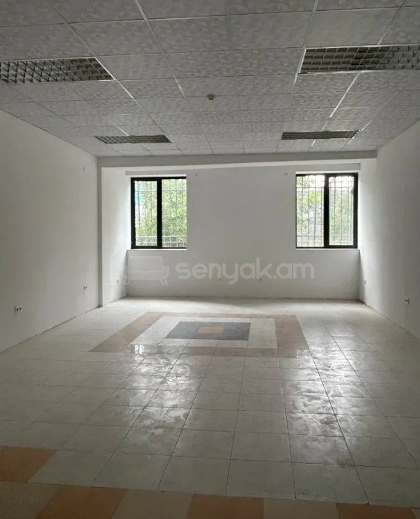 Օֆիսային Տարածք, 243քմ, Կապիտալ Վերանորոգված
