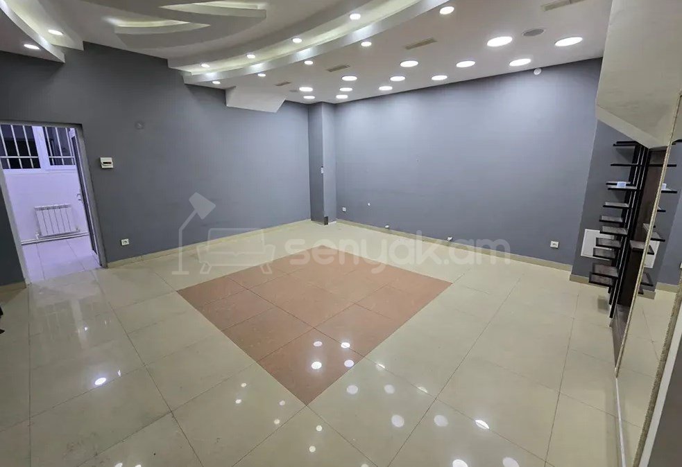 Օֆիսային Տարածք, 200քմ, Կապիտալ Վերանորոգված