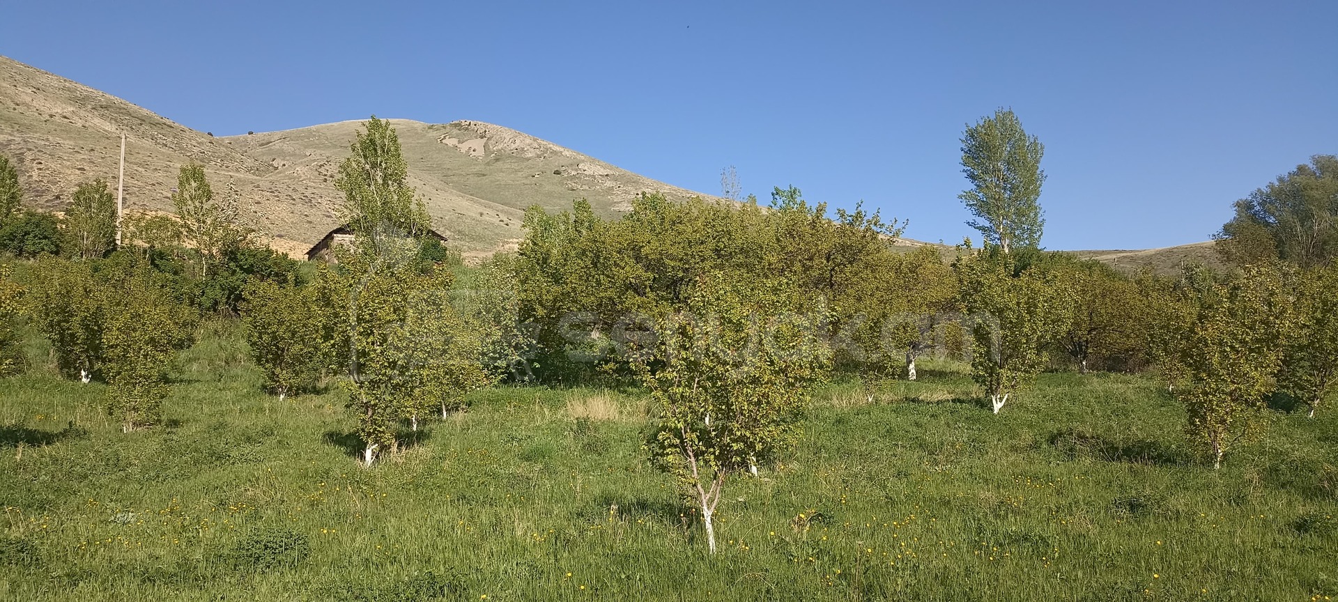 Հողամաս, 2000քմ, Ոռոգման Ջրով, Ցանկապատված
