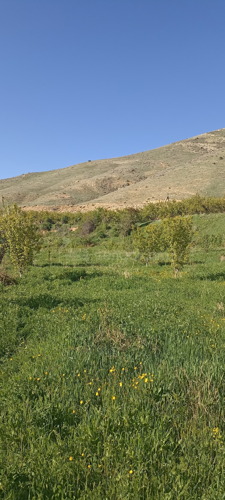 Հողամաս, 2000քմ, Ոռոգման Ջրով, Ցանկապատված