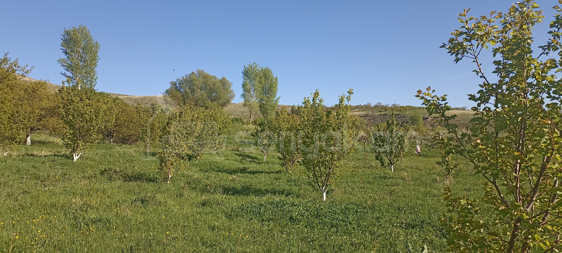 Հողամաս, 2000քմ, Ոռոգման Ջրով, Ցանկապատված