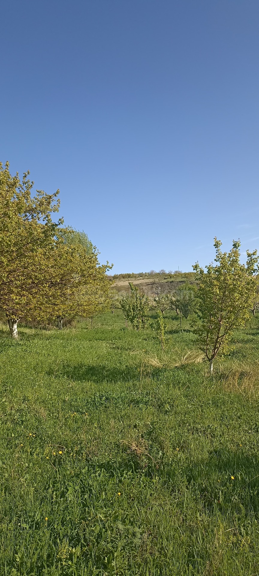 Հողամաս, 2000քմ, Ոռոգման Ջրով, Ցանկապատված
