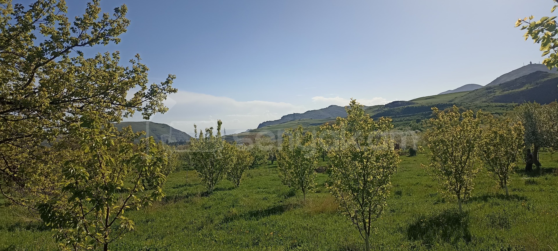 Հողամաս, 2000քմ, Ոռոգման Ջրով, Ցանկապատված