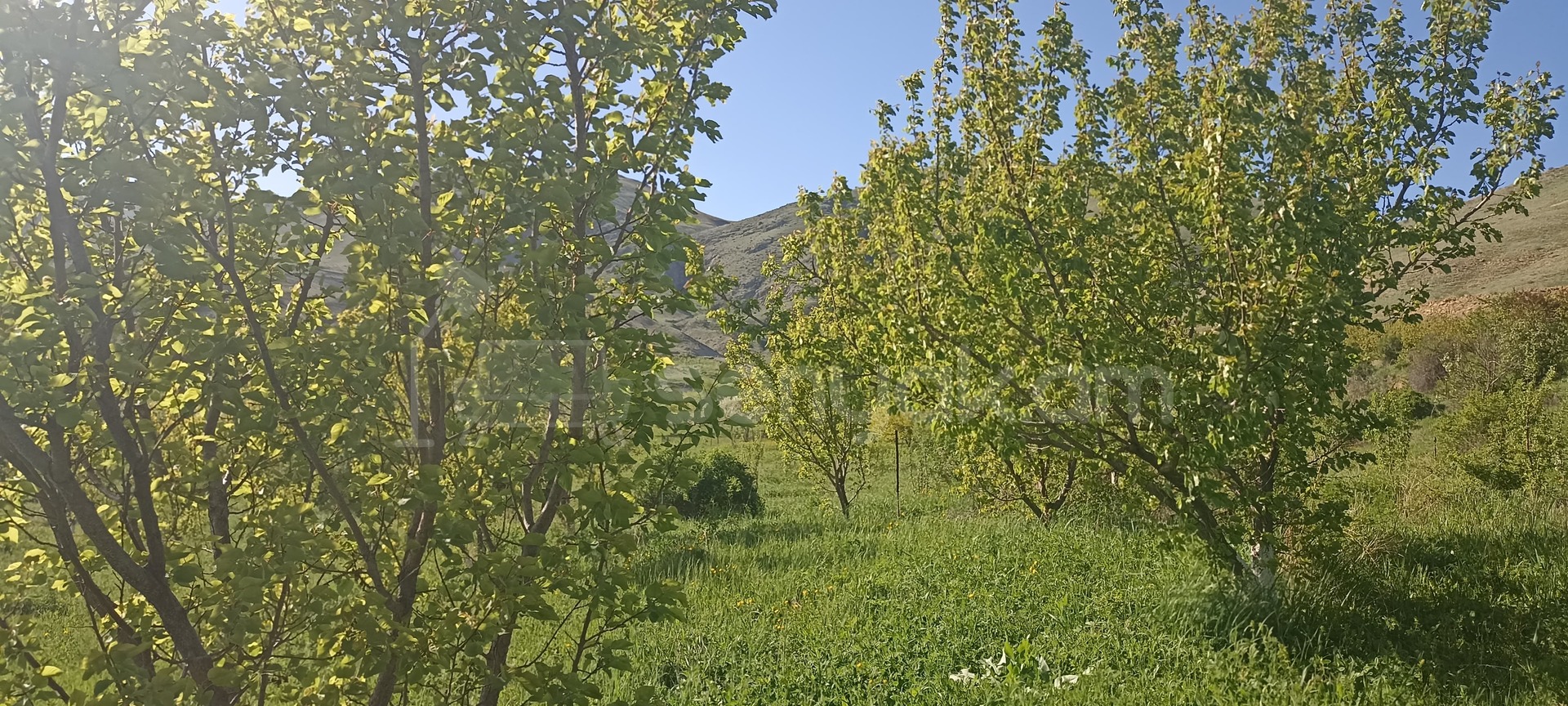 Հողամաս, 2000քմ, Ոռոգման Ջրով, Ցանկապատված