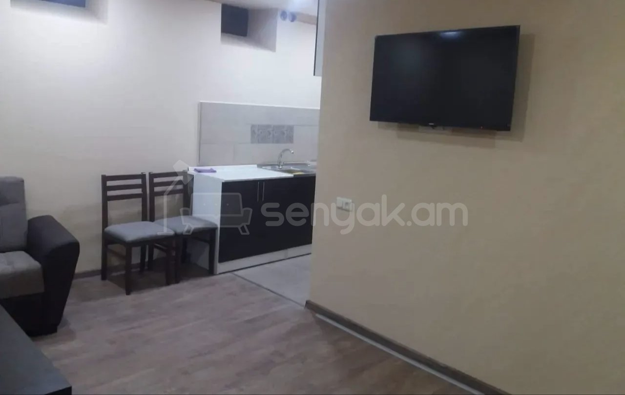 1 Սենյականոց Բնակարան Քարե Շենքում, 30քմ, 1/5 հարկ, Նորմալ Վիճակում, Կահավորված