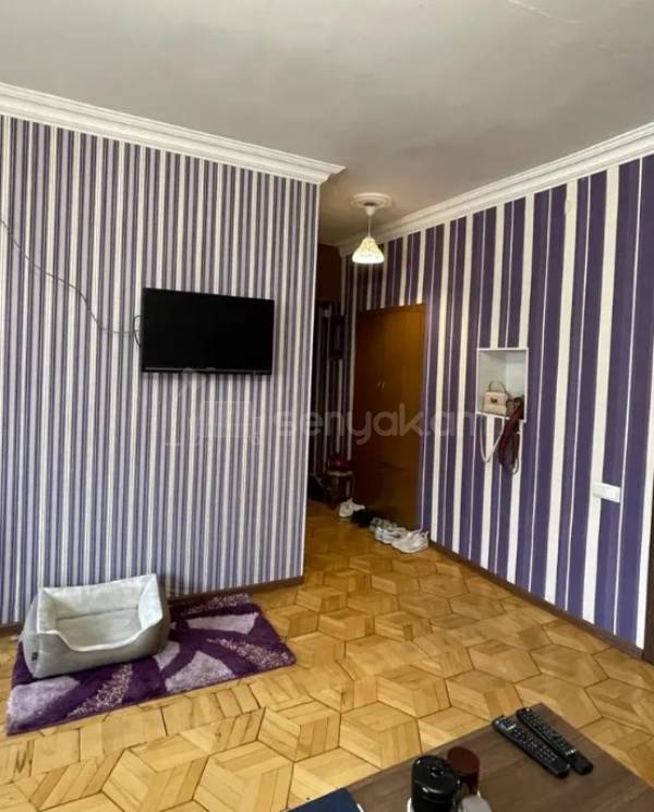 2 Սենյականոց Բնակարան Քարե Շենքում, 58քմ, 4/5 հարկ, Դիզայներական Վերանորոգված, Կահավորված, Արևկող