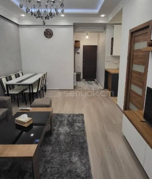 2 Սենյականոց Բնակարան Նորակառույցում, 43քմ, 1/11 հարկ, Կապիտալ Վերանորոգված