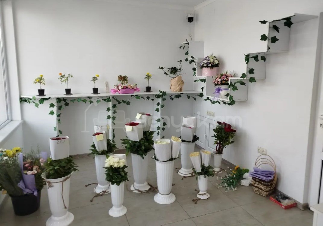 Օֆիսային Տարածք, 20քմ, Կապիտալ Վերանորոգված
