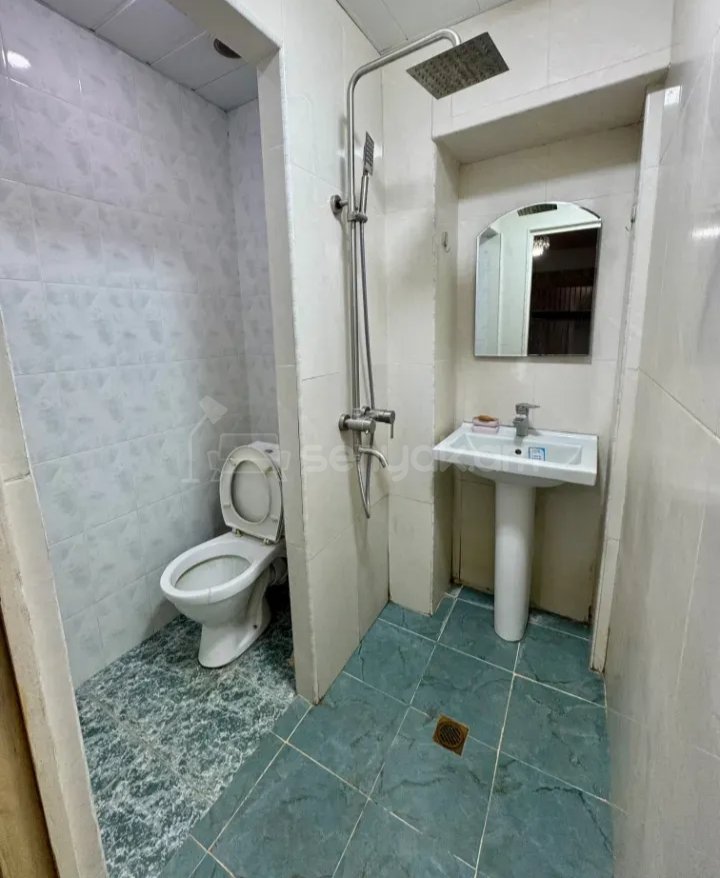 3 Սենյականոց Բնակարան Քարե Շենքում, 75քմ, 3/9 հարկ, Կապիտալ Վերանորոգված, Կահավորված