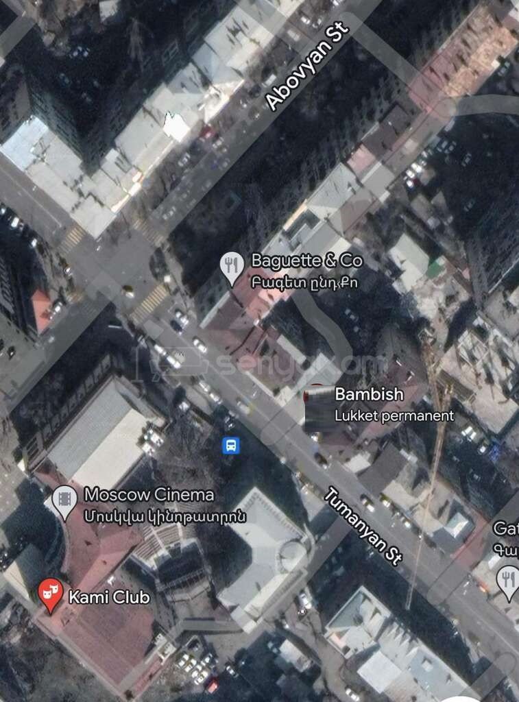 Կոմերցիոն Տարածք, 250քմ, Կապիտալ Վերանորոգված