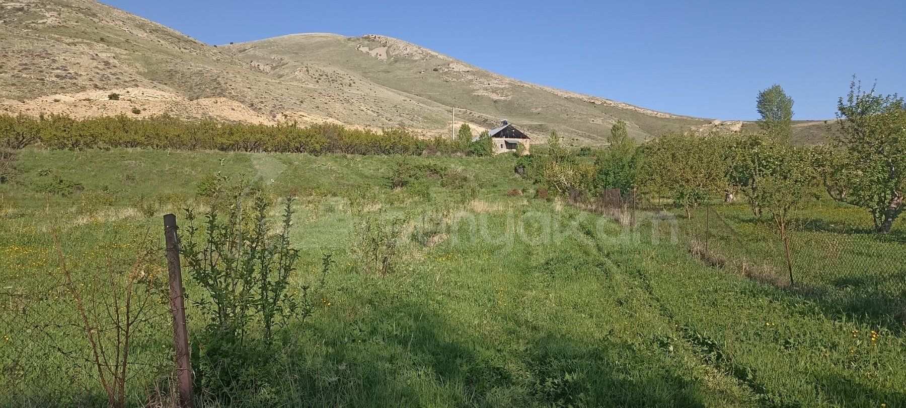Այգի, 1700քմ, Ոռոգման Ջրով, Էլեկտրականությամբ