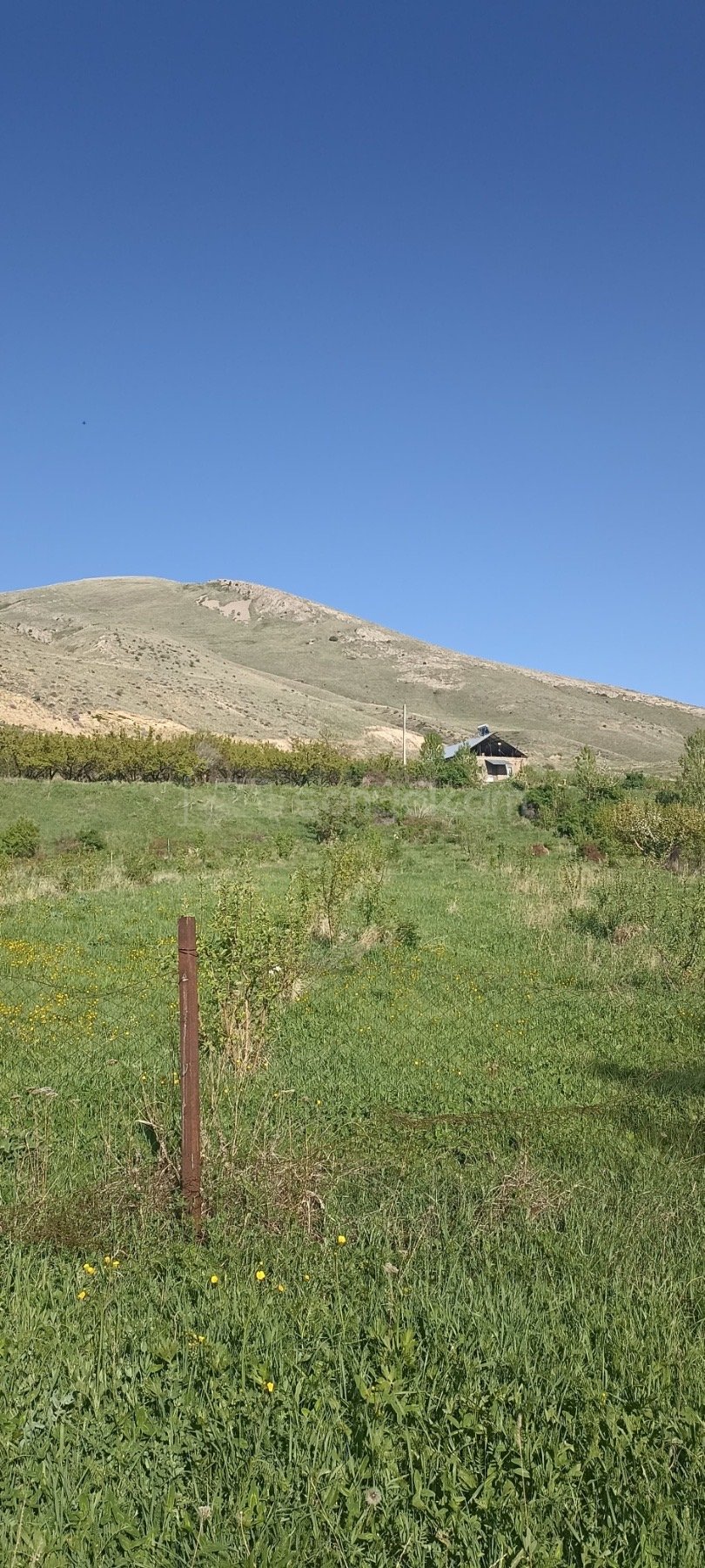 Այգի, 1700քմ, Ոռոգման Ջրով, Էլեկտրականությամբ