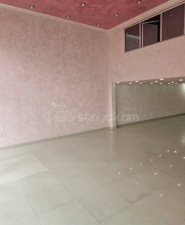 Օֆիսային Տարածք, 108քմ, Կապիտալ Վերանորոգված