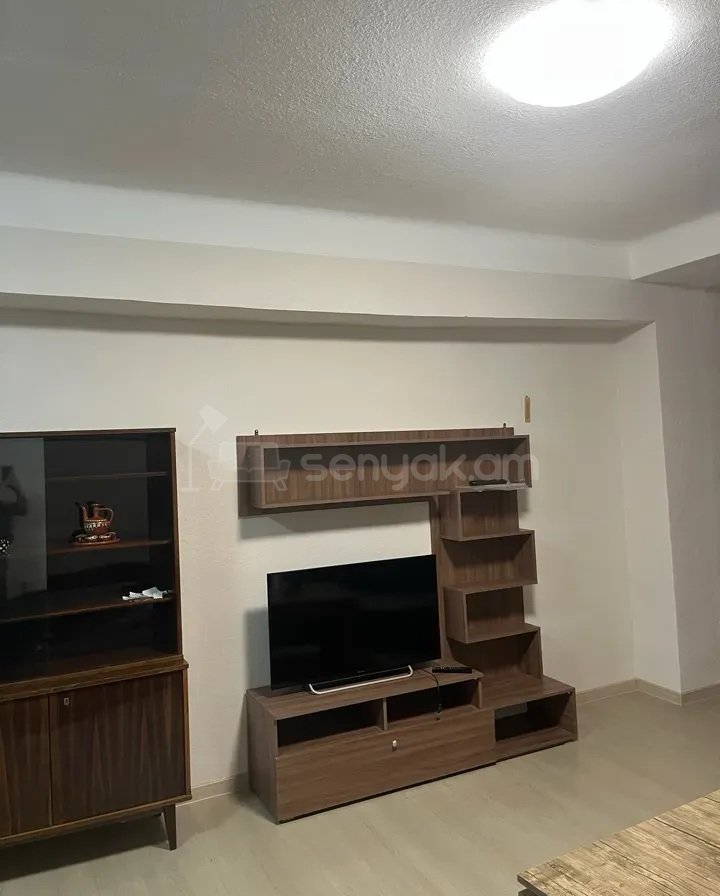 3 Սենյականոց Բնակարան, 93քմ, 2/9 հարկ, Կապիտալ Վերանորոգված, Կահավորված