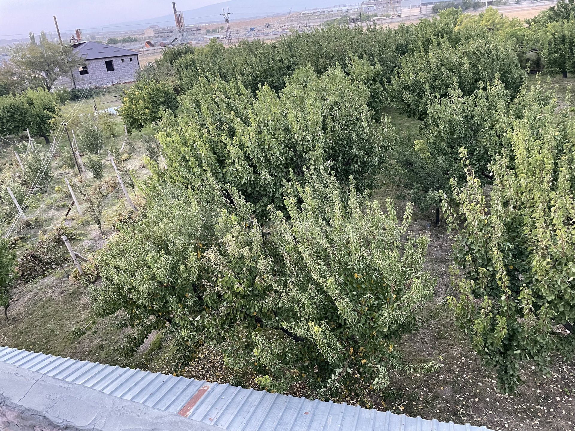 6 Սենյականոց Բնակարան Քարե Շենքում, 500քմ, 2/2 հարկ, Կապիտալ Վերանորոգված