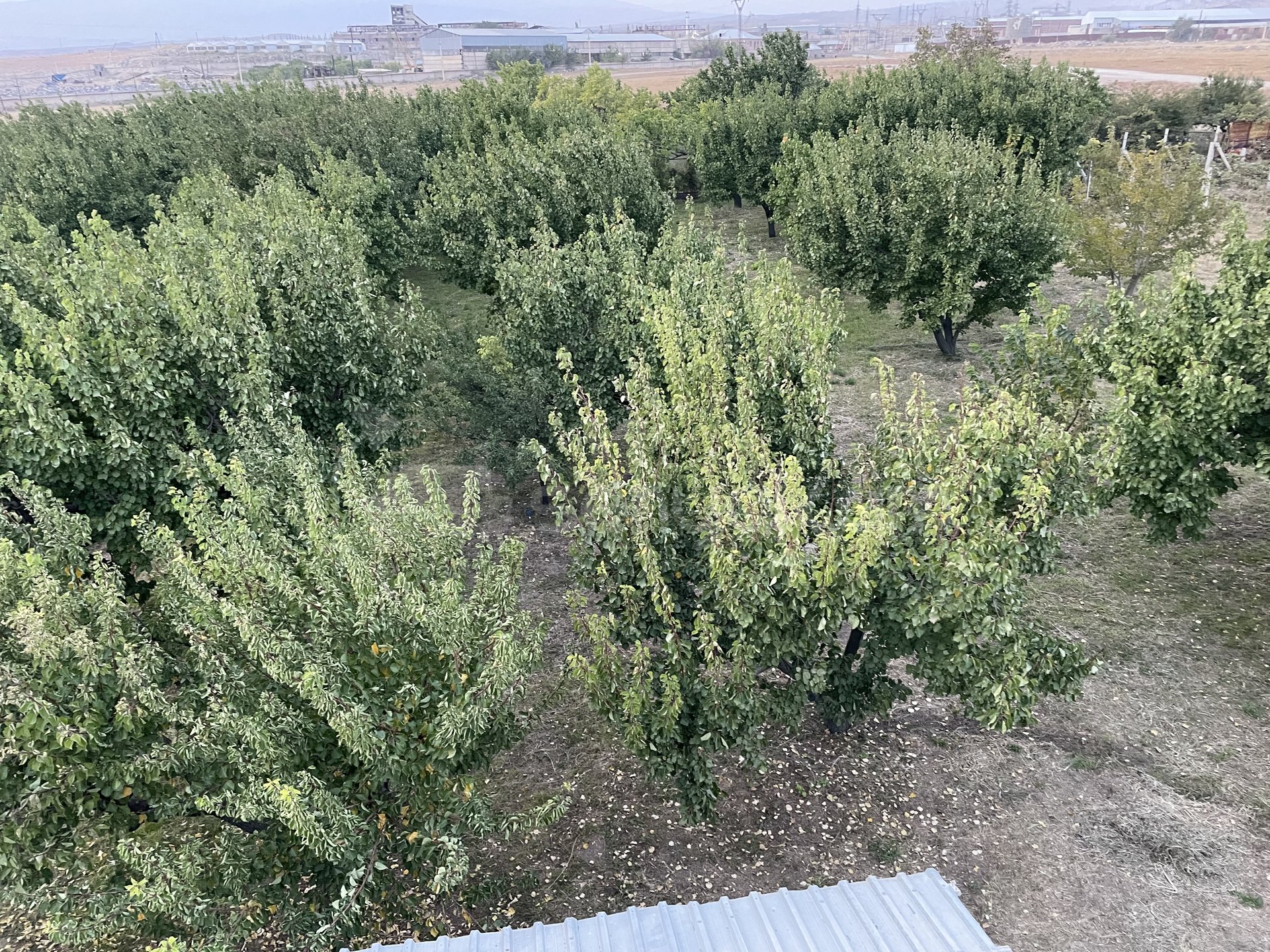 6 Սենյականոց Բնակարան Քարե Շենքում, 500քմ, 2/2 հարկ, Կապիտալ Վերանորոգված