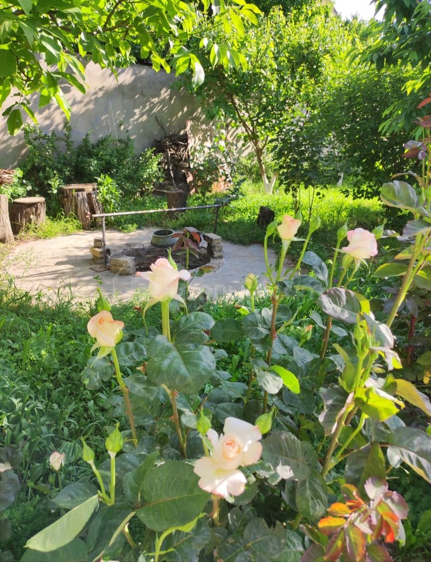 1 Սենյականոց Ամառանոց, 100քմ, Լողավազանով