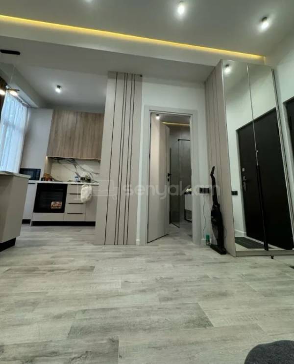 1 Սենյականոց Բնակարան Նորակառույցում, 25քմ, 2/4 հարկ, Դիզայներական Վերանորոգված, Կահավորված, Արևկող